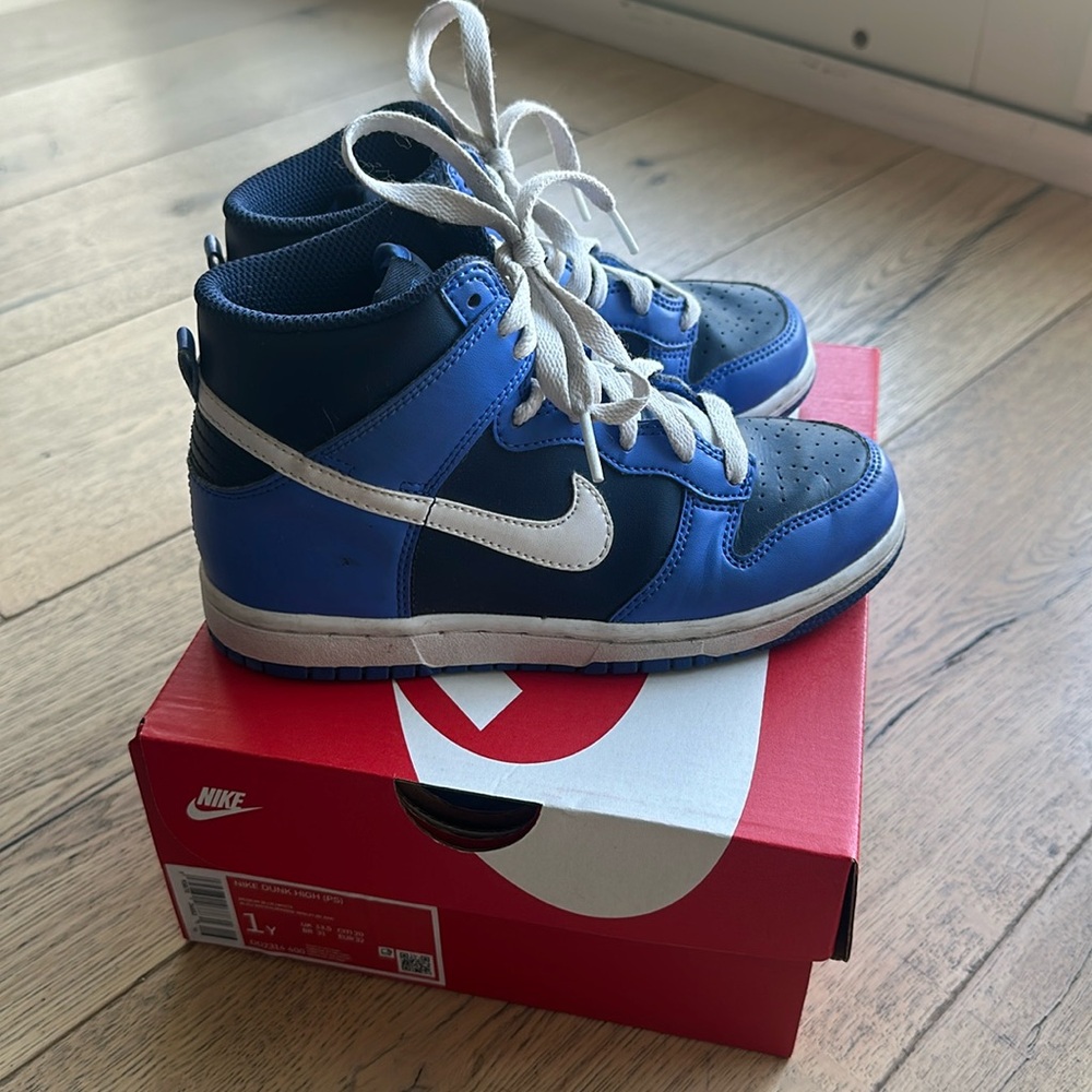 Nike dunk high little kids